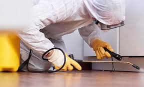 Professional Pest Control in Southside Place, TX